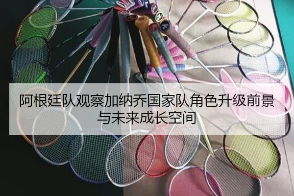 阿根廷队观察加纳乔国家队角色升级前景与未来成长空间
